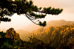 China-make-prints-14