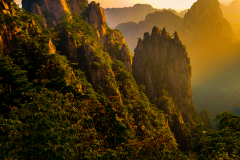 China-make-prints-18