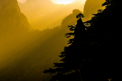 China-make-prints-20
