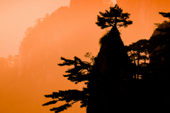 Sunset of the Century