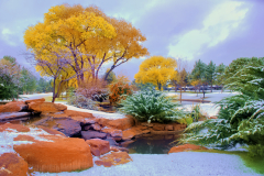 DSC_0073-adjust-adjust-adjust