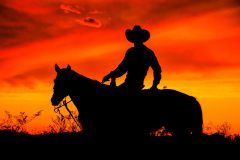 4.Cowboy-in-Silhouette-COPEN